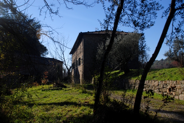 Clicca qui per vedere l'immagine in dettaglio